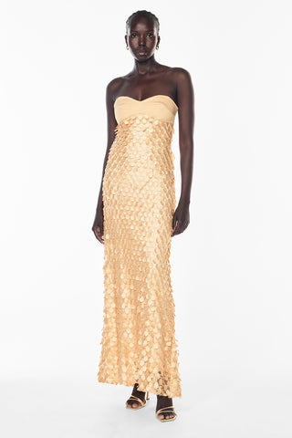 Supreme Extreme Balconette Dress