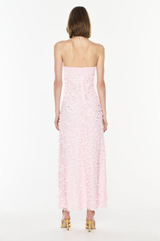 Enchantment Balconette Dress