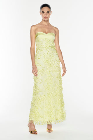 Enchantment Balconette Dress