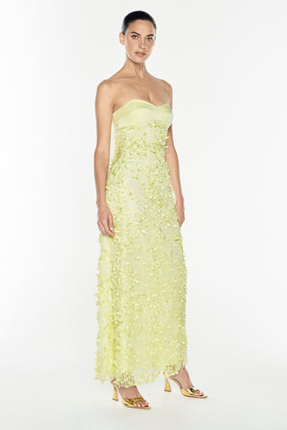 Enchantment Balconette Dress