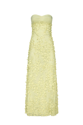 Enchantment Balconette Dress