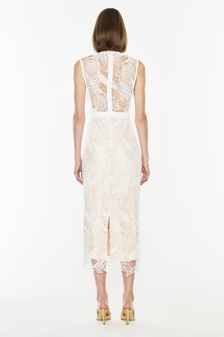 Time Honoured Dress