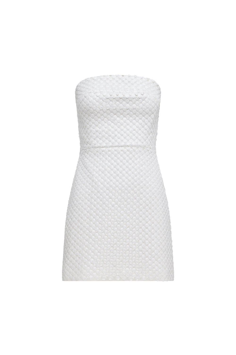 Opulent Scale Mini Dress