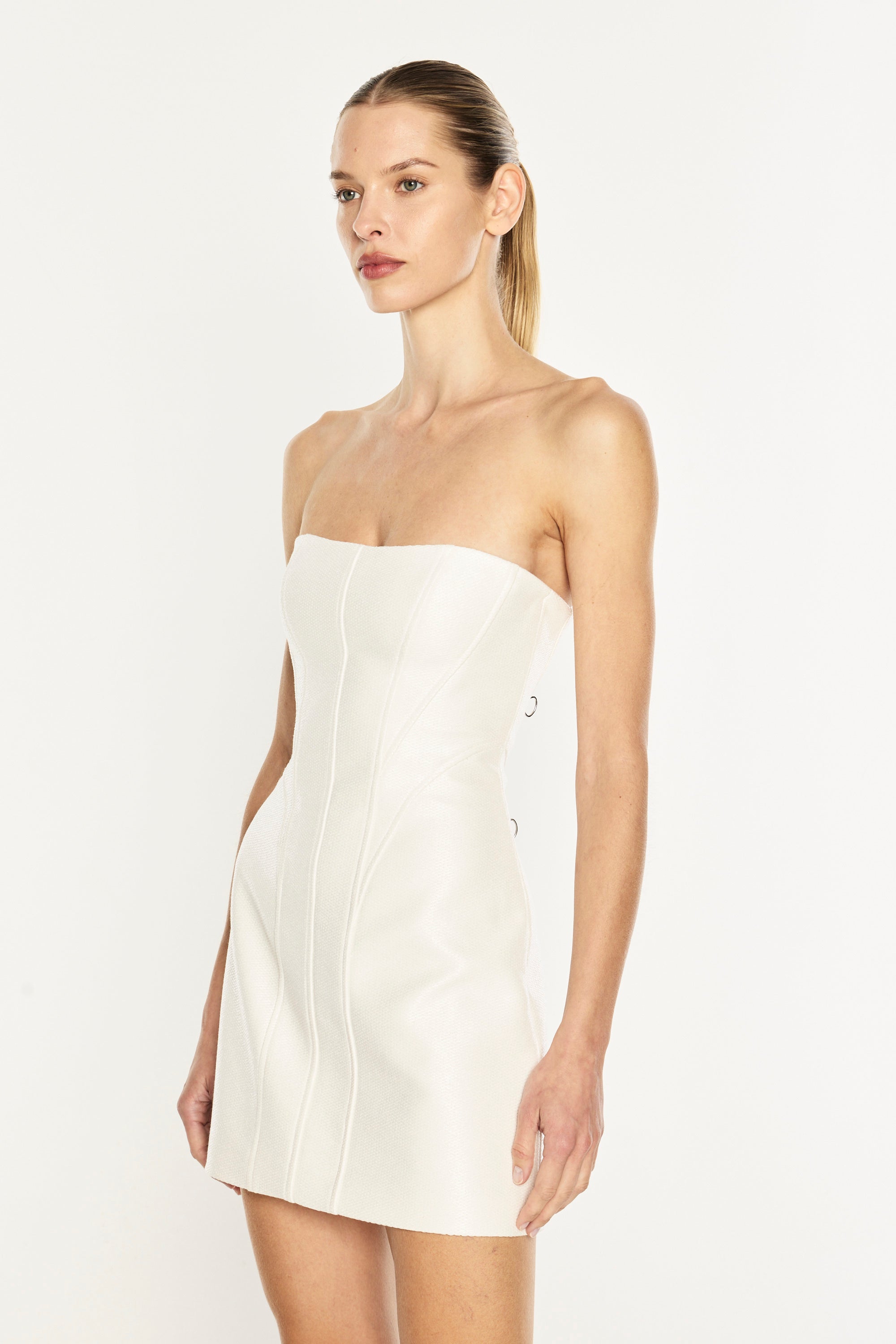Line Of Beauty Mini Dress