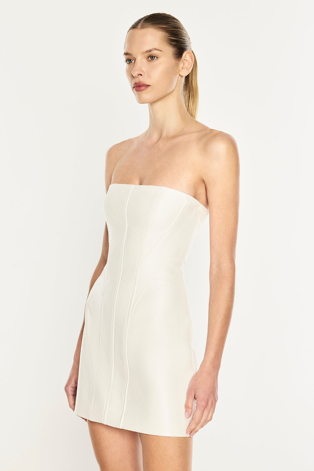 Line Of Beauty Mini Dress